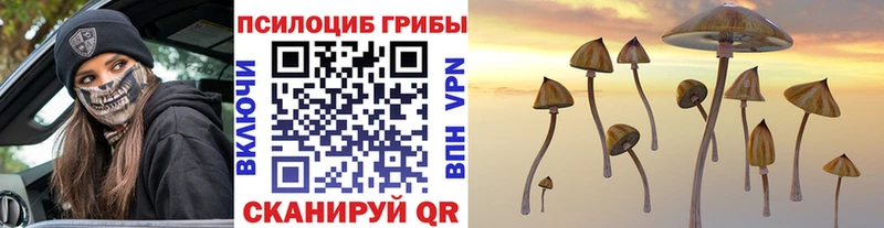 Псилоцибиновые грибы мухоморы  кракен маркетплейс  Орёл 